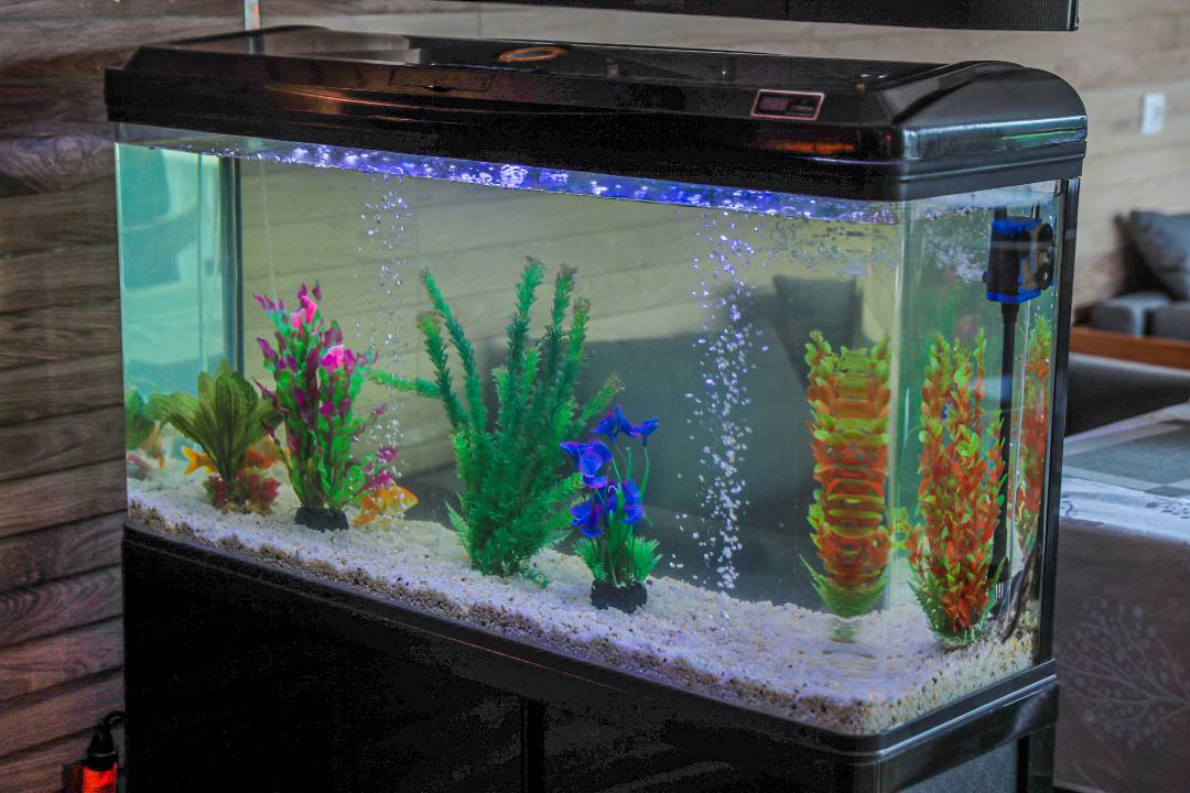 ANOUANZE LODGE AND RESORT