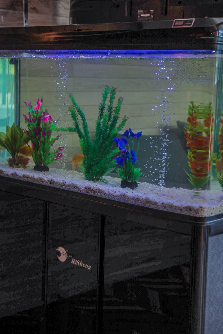 ANOUANZE LODGE AND RESORT